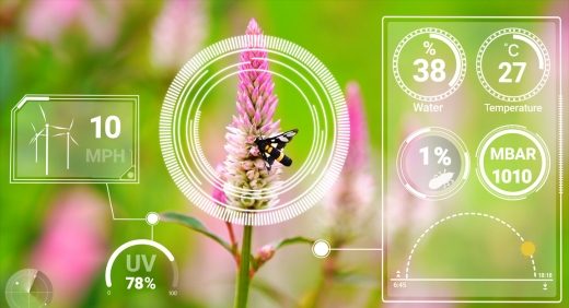 Untitled design - 2024-09-07T163155.280